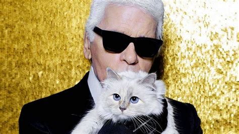 Quién es Choupette, el gato de Karl Lagerfeld: .